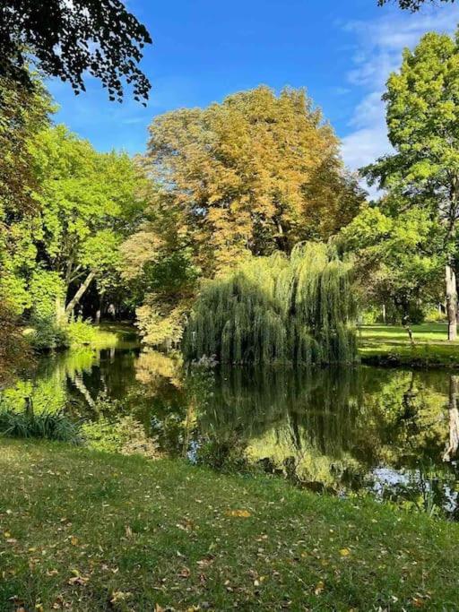 Ein Gemuetlicher Platz Im Gruenderzeitviertel Хемніц Екстер'єр фото